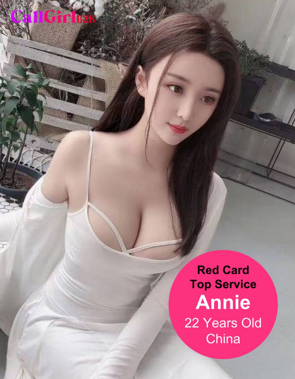 Callgirlb2b model - annie