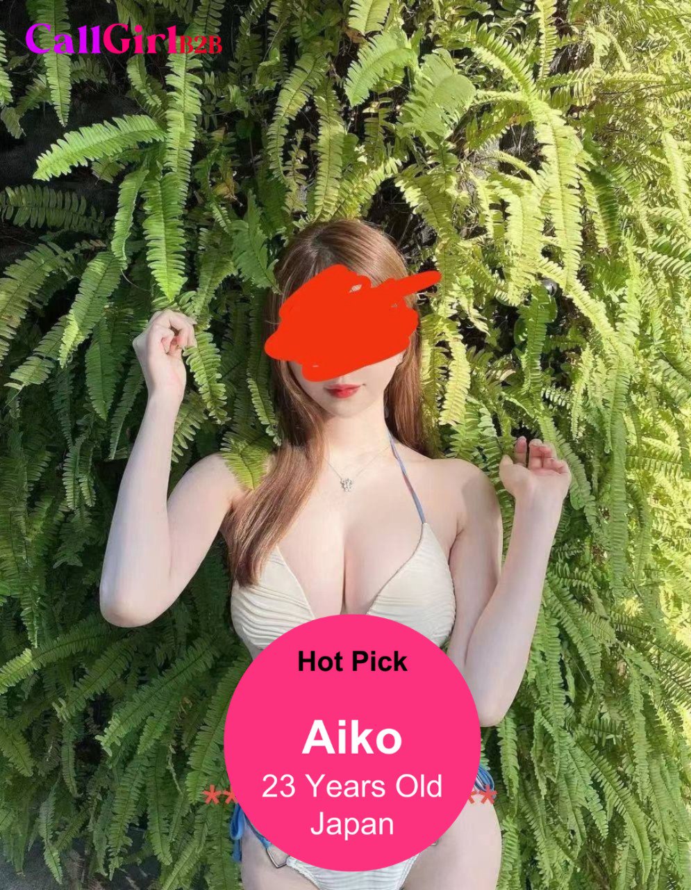 Callgirlb2b model - aiko